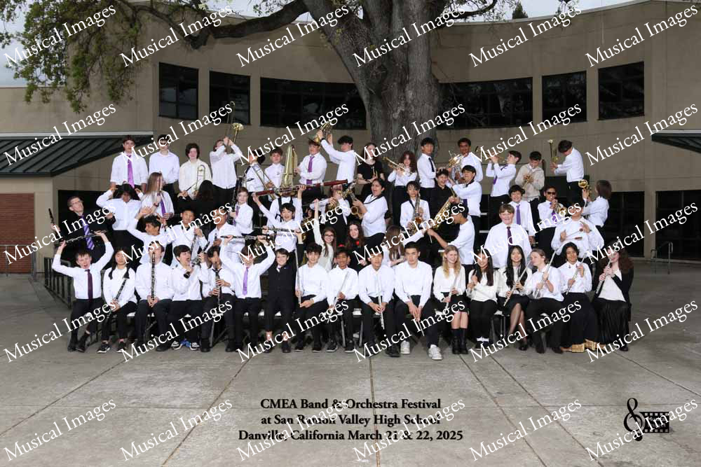 Musical Images